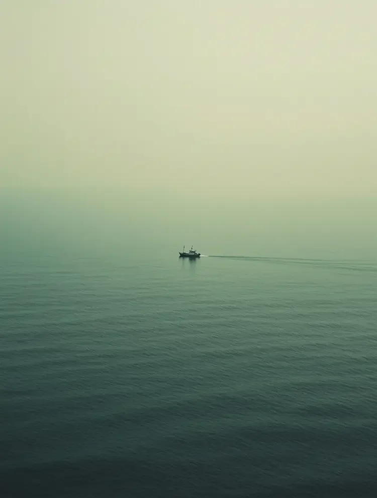 沧海一粟 午夜视频高清电视剧海报